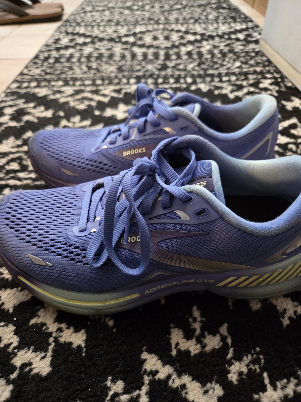 Brooks Women's Adrenaline GTS Running Shoes - Purple